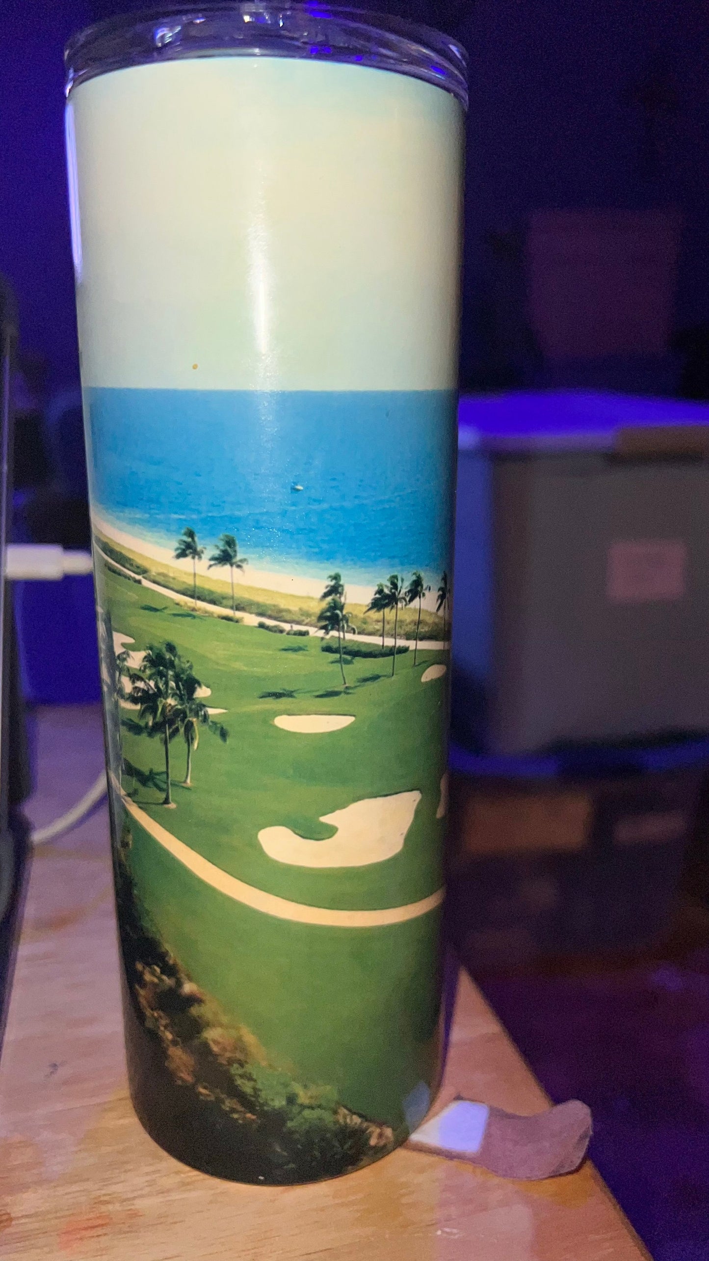 Golfer’s Paradise 20 oz. Skinny Metal Tumbler